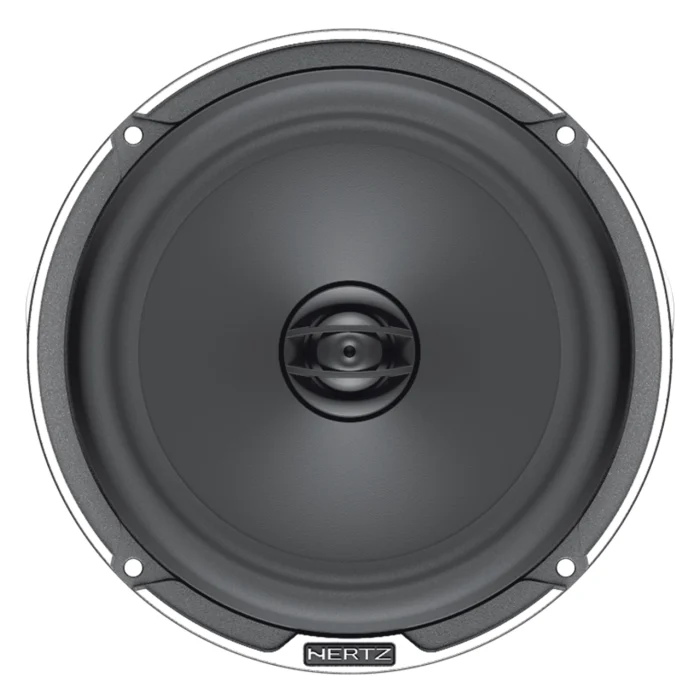 100W RMS 100W RMS